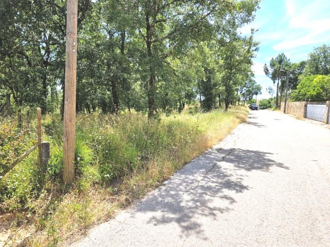 Image No.3-Terre à vendre à Avelar