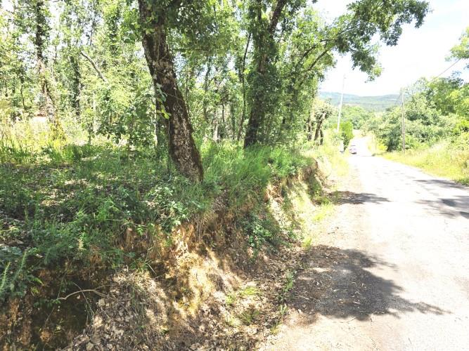 Image No.8-Terre à vendre à Avelar