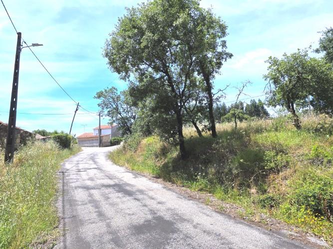 Image No.9-Terre à vendre à Avelar