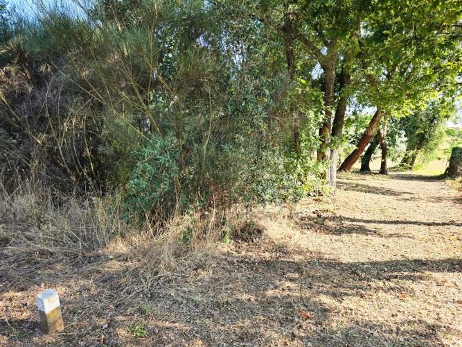 Image No.27-Village House for sale