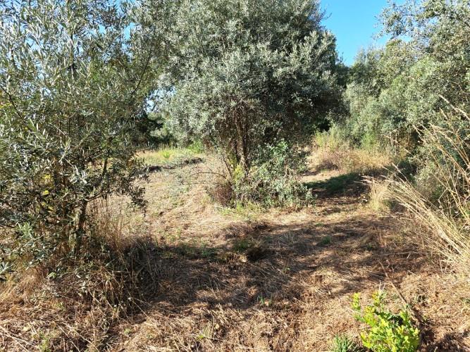 Image No.28-Village House for sale