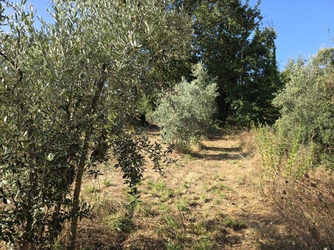 Image No.30-Village House for sale