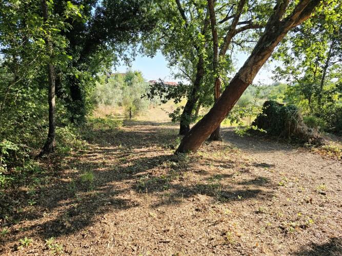 Image No.32-Village House for sale