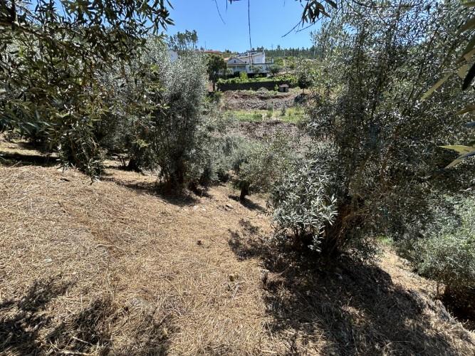 Image No.33-4 Bed Village House for sale