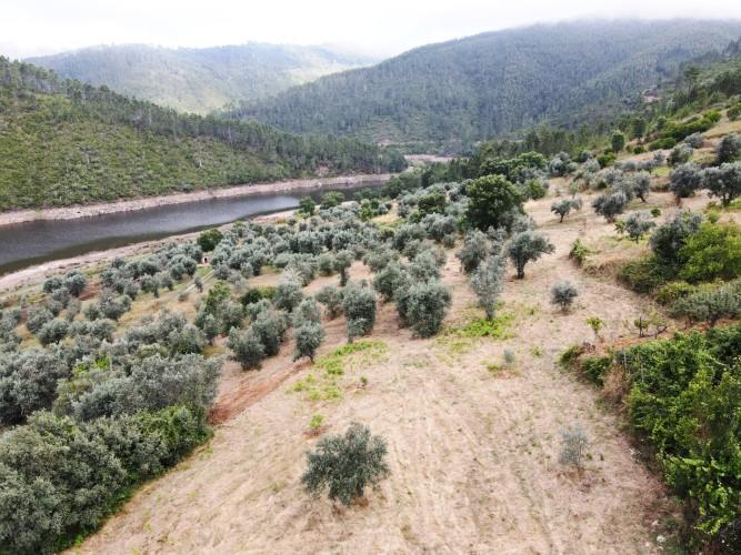 Image No.35-4 Bed Village House for sale