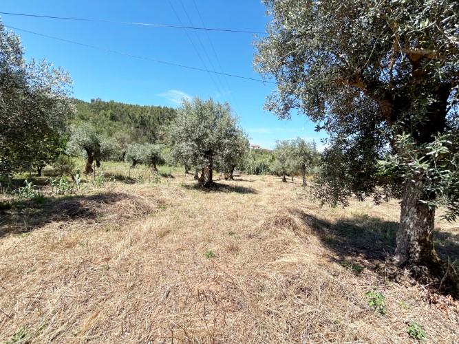 Image No.36-3 Bed Village House for sale