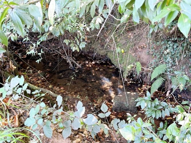 Image No.42-3 Bed Village House for sale