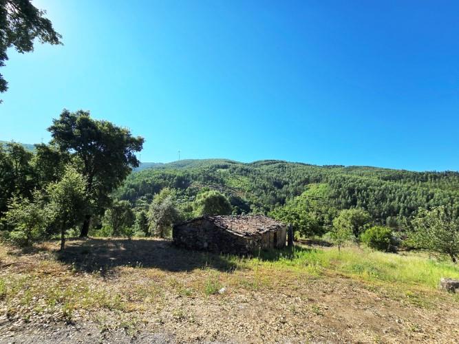 Image No.1-Terre à vendre à Pedrógão Pequeno