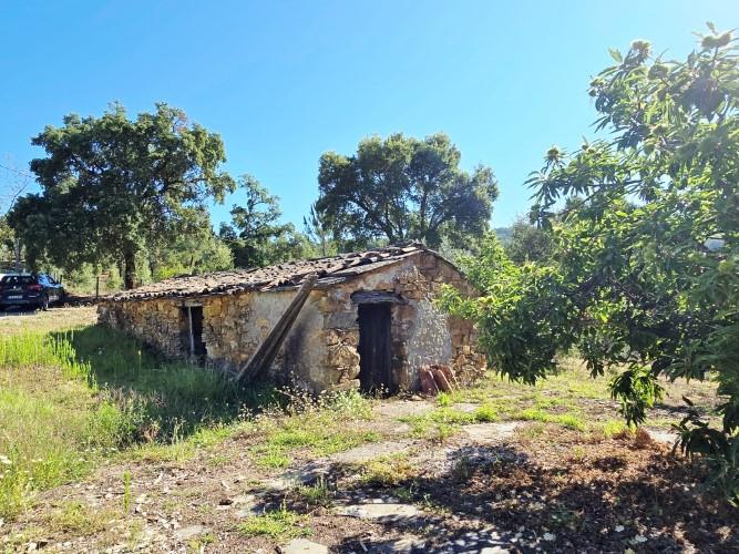 Image No.24-Terre à vendre à Pedrógão Pequeno