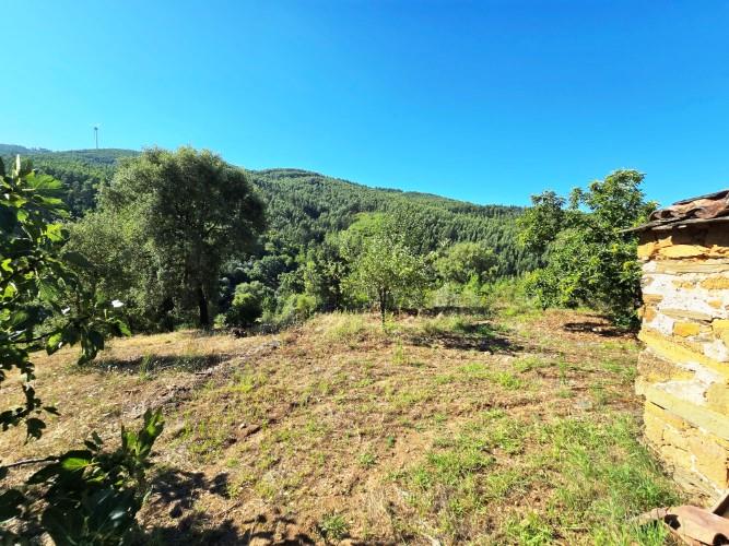 Image No.25-Terre à vendre à Pedrógão Pequeno