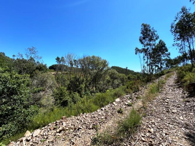 Image No.3-Terre à vendre à Pedrógão Grande