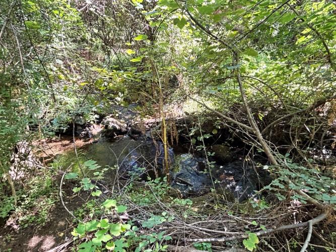 Image No.8-Terre à vendre à Pedrógão Grande