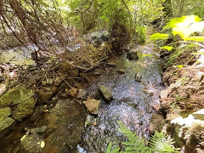 Image No.9-Terre à vendre à Pedrógão Grande