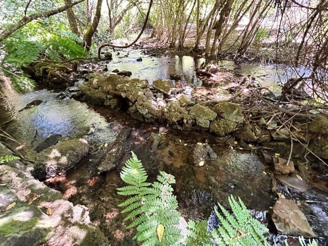 Image No.10-Terre à vendre à Pedrógão Grande