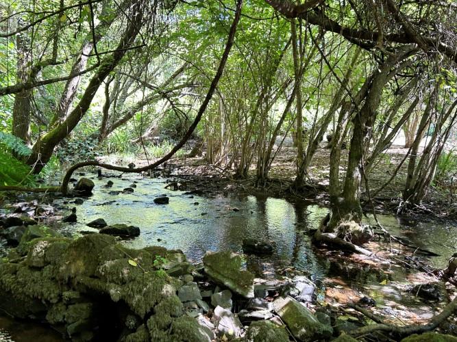 Image No.11-Terre à vendre à Pedrógão Grande