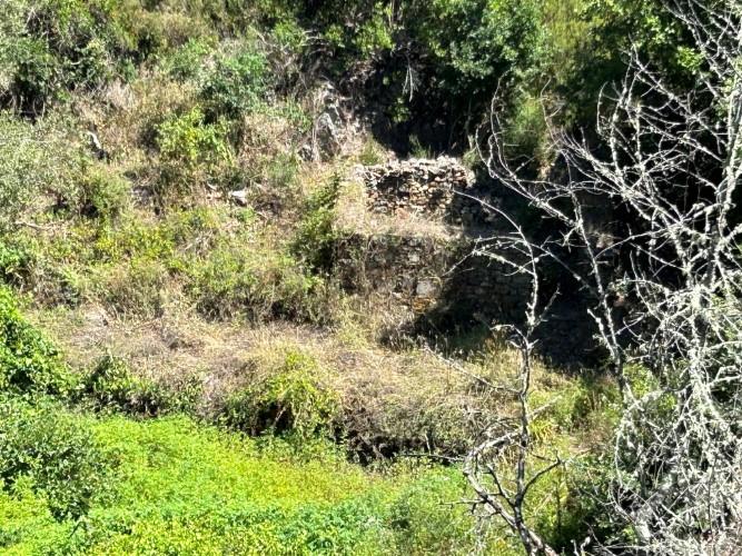 Image No.14-Terre à vendre à Pedrógão Grande