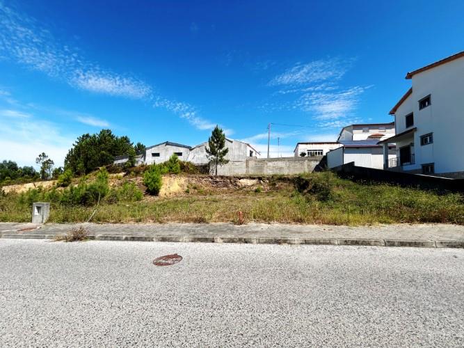 Image No.2-Terre à vendre à Cernache do Bonjardim