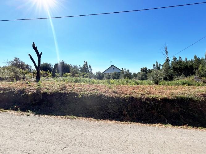 Image No.5-Terre à vendre à Pedrógão Grande