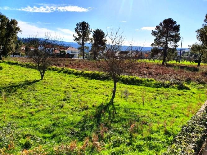 Image No.2-Land for sale