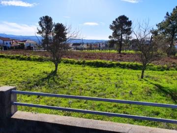 5---1093-NEW--Custom-