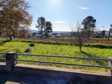 7---1093-NEW--Custom-