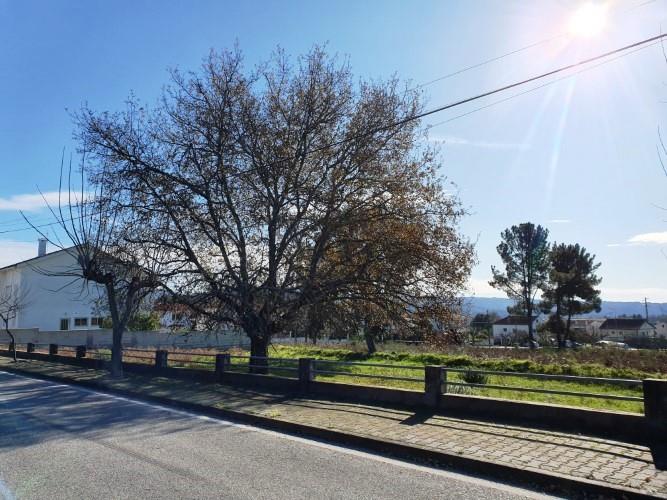 Image No.8-Land for sale