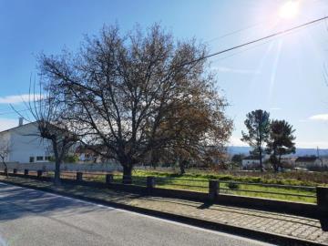 8---1093-NEW--Custom-