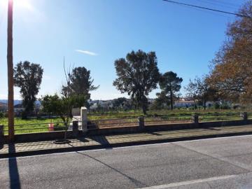 10---1093-NEW--Custom-