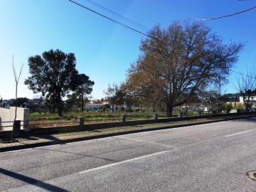 12---1093-NEW--Custom-