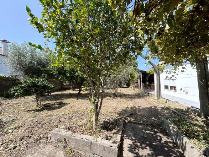 Image No.5-Terre à vendre à Pedrógão Grande