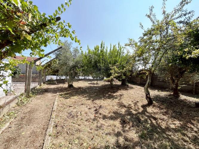 Image No.3-Terre à vendre à Pedrógão Grande