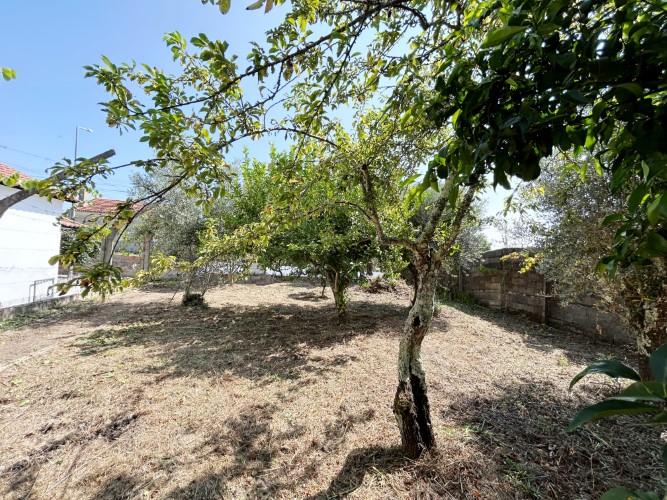 Image No.7-Terre à vendre à Pedrógão Grande