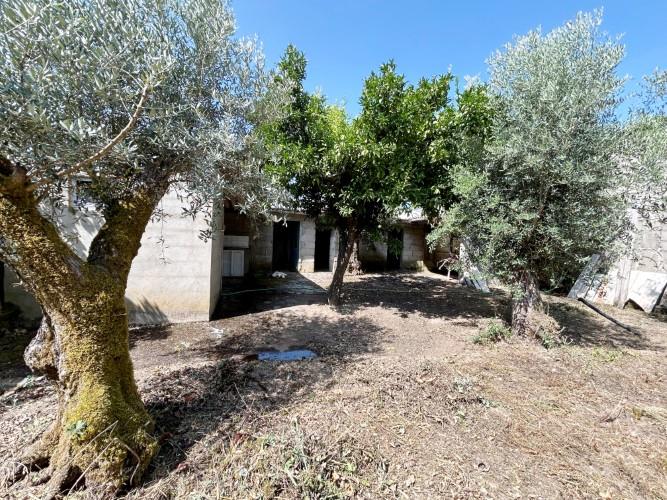 Image No.8-Terre à vendre à Pedrógão Grande