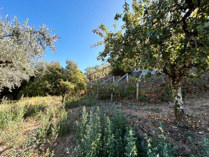 Image No.19-Maison de village de 1 chambre à vendre à Pedrógão Pequeno