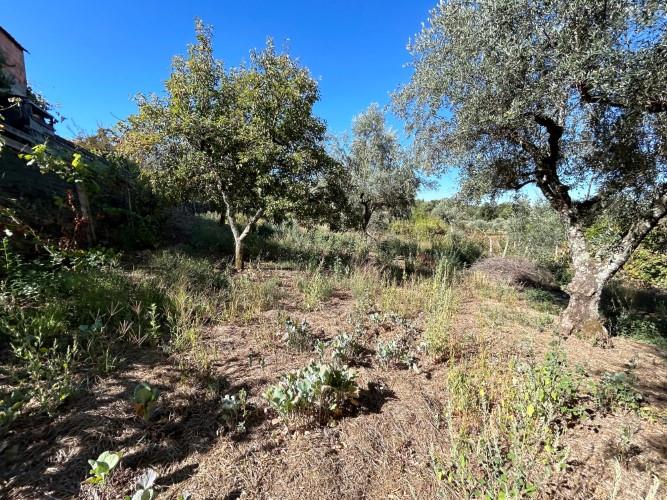 Image No.20-Maison de village de 1 chambre à vendre à Pedrógão Pequeno