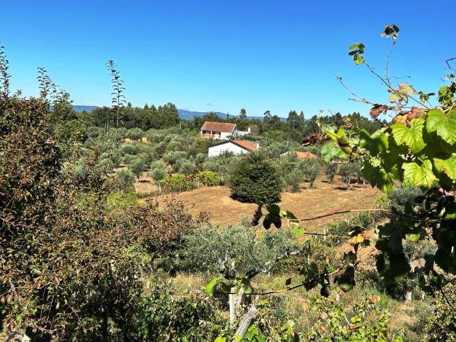 Image No.21-Maison de village de 1 chambre à vendre à Pedrógão Pequeno