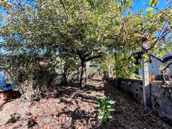 Image No.24-Maison de village de 1 chambre à vendre à Pedrógão Pequeno