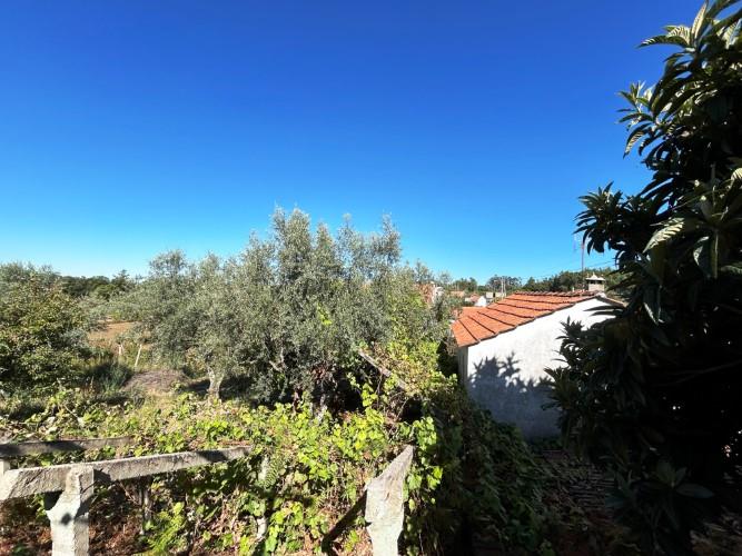 Image No.25-Maison de village de 1 chambre à vendre à Pedrógão Pequeno