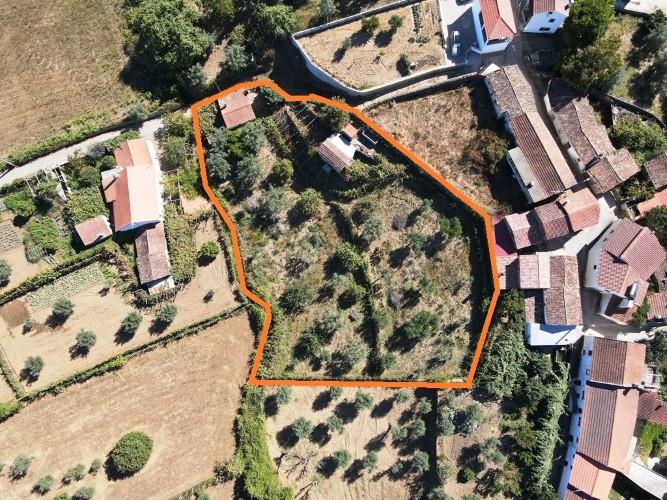 Image No.3-Maison de village de 1 chambre à vendre à Pedrógão Pequeno