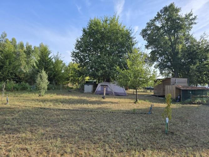 Image No.3-Terre de 4 chambres à vendre à Pedrógão Grande