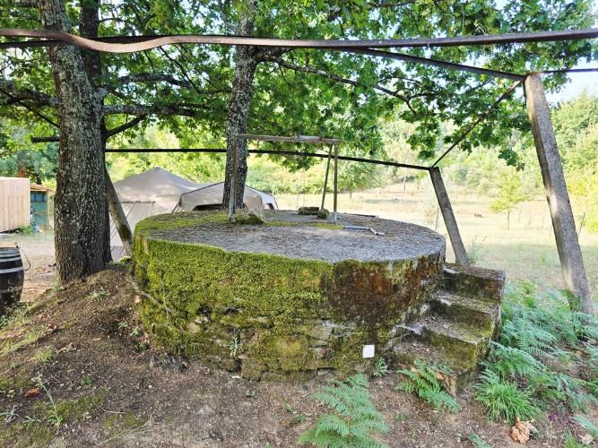 Image No.6-Terre de 4 chambres à vendre à Pedrógão Grande