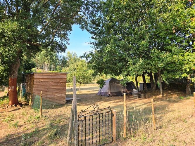 Image No.12-Terre de 4 chambres à vendre à Pedrógão Grande