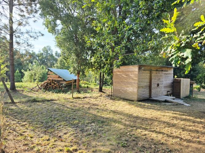 Image No.14-Terre de 4 chambres à vendre à Pedrógão Grande