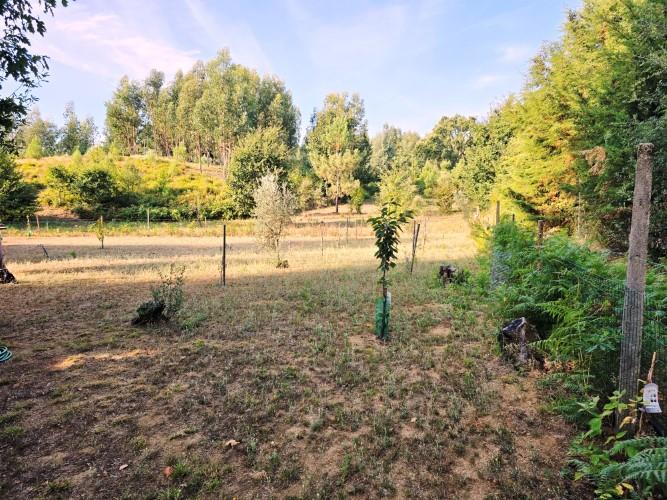 Image No.31-Terre de 4 chambres à vendre à Pedrógão Grande