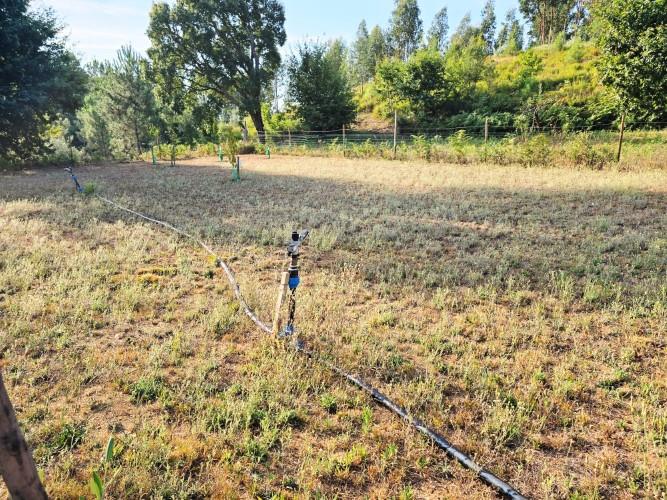 Image No.35-Terre de 4 chambres à vendre à Pedrógão Grande