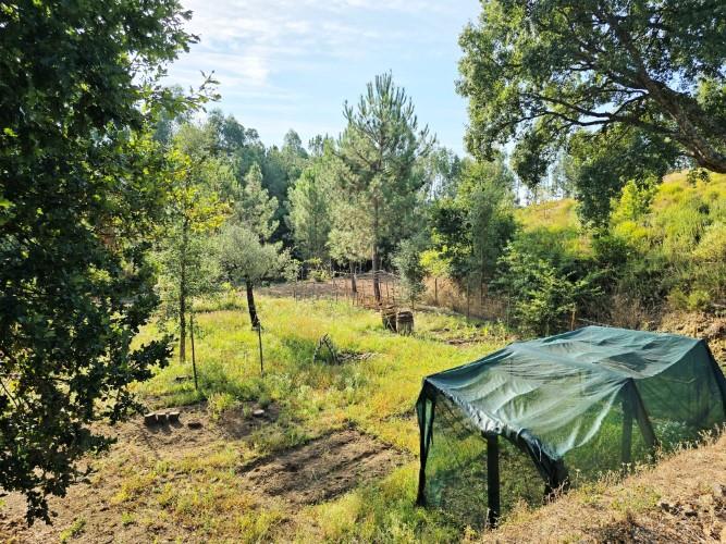 Image No.38-Terre de 4 chambres à vendre à Pedrógão Grande