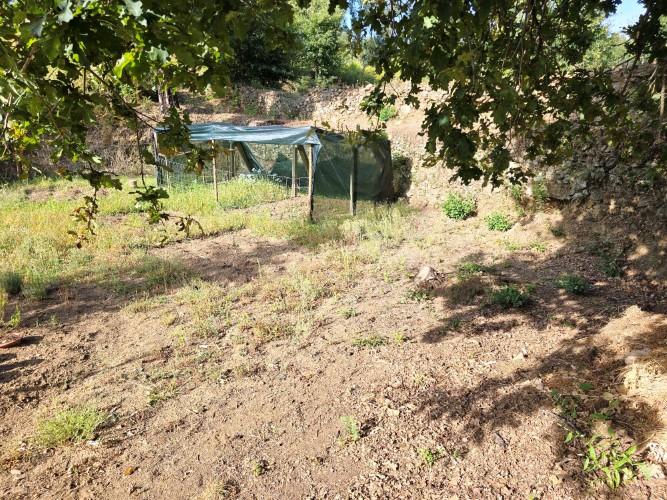 Image No.41-Terre de 4 chambres à vendre à Pedrógão Grande