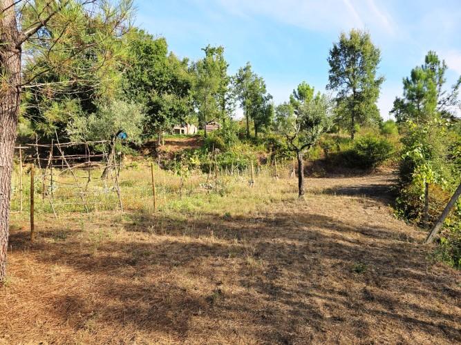 Image No.45-Terre de 4 chambres à vendre à Pedrógão Grande