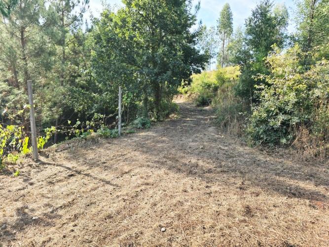 Image No.46-Terre de 4 chambres à vendre à Pedrógão Grande