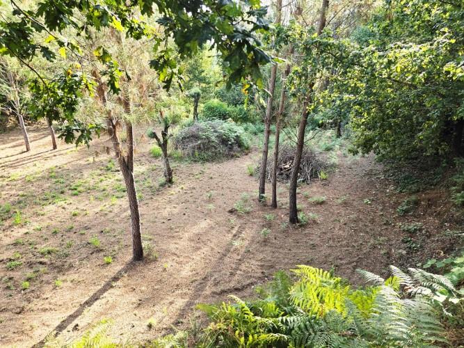 Image No.47-Terre de 4 chambres à vendre à Pedrógão Grande